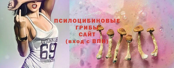 гидра Белоозёрский